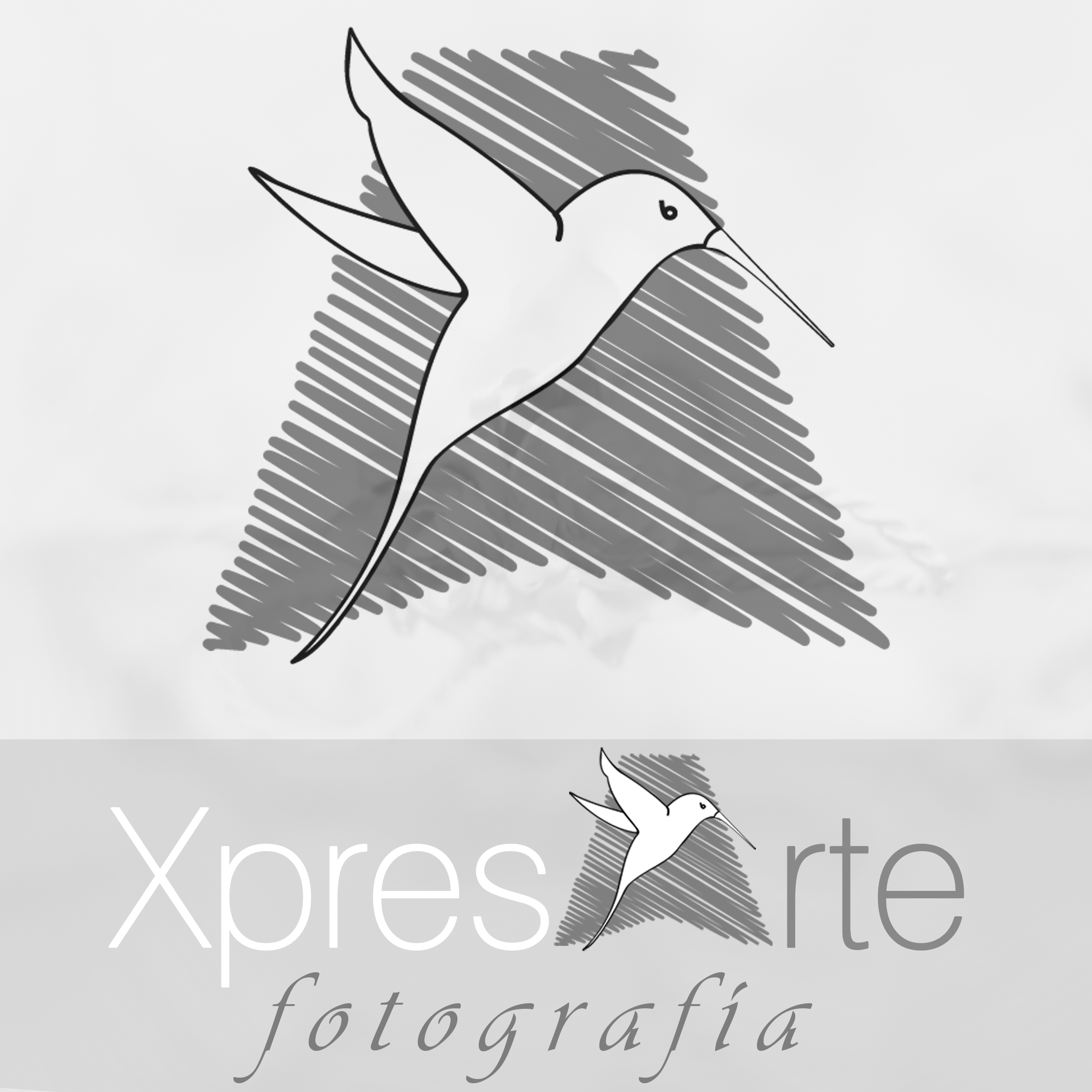 XpresArte Fotografía