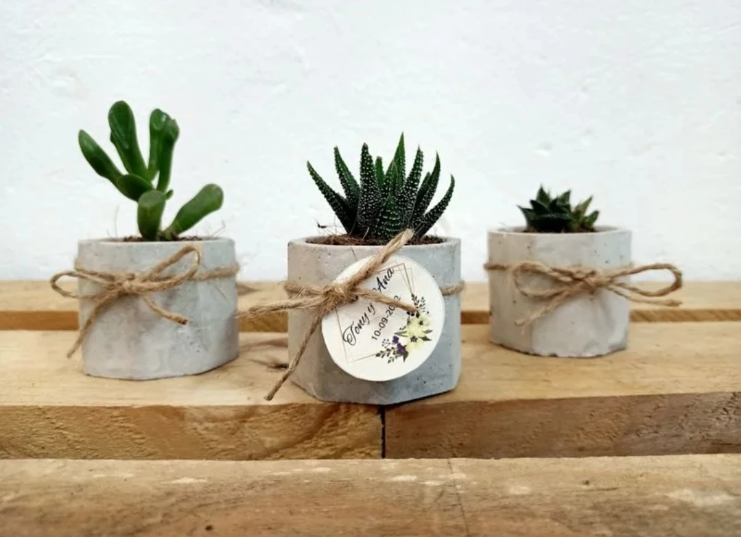 Botanica Urbana Creativa